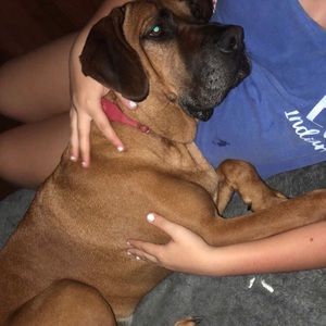 Meet your Posher, Hailey